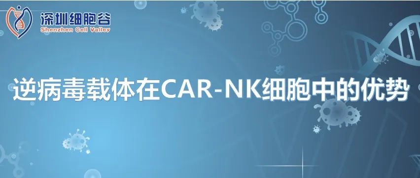 逆病毒載體在CAR-NK細胞中的優(yōu)勢