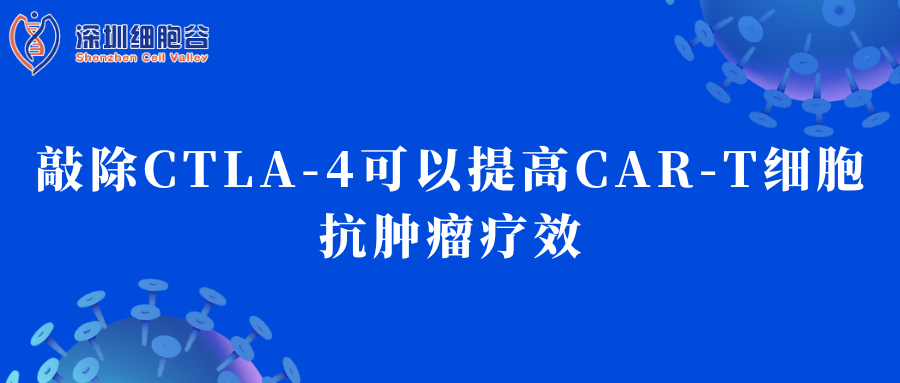 敲除CTLA-4可以提高CAR-T細胞抗腫瘤療效