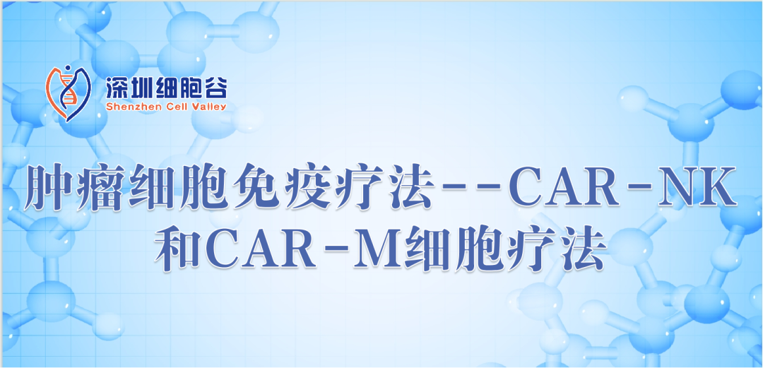 腫瘤細胞免疫療法--CAR-NK和CAR-M細胞療法