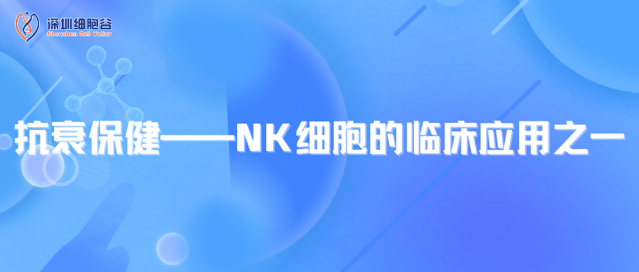 抗衰保健--NK細胞的臨床應用之一