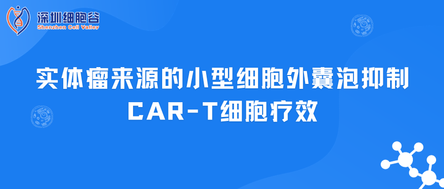 實(shí)體瘤來(lái)源的小型細(xì)胞外囊泡抑制CAR-T細(xì)胞療效