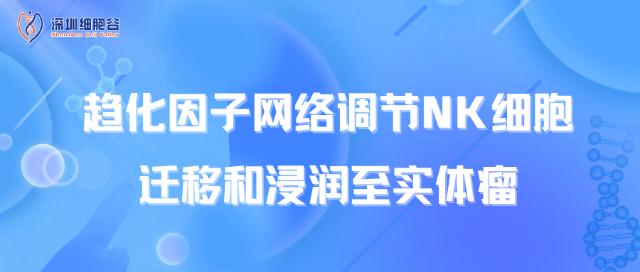 趨化因子網(wǎng)絡(luò)調(diào)節(jié)NK細(xì)胞遷移和浸潤至實(shí)體瘤