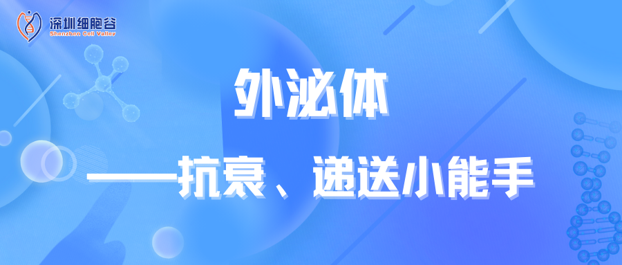 外泌體——抗衰、遞送小能手