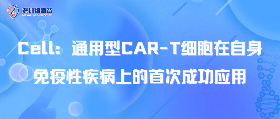  Cell：通用型CAR-T細(xì)胞在自身免疫性疾病上的首次成功應(yīng)用