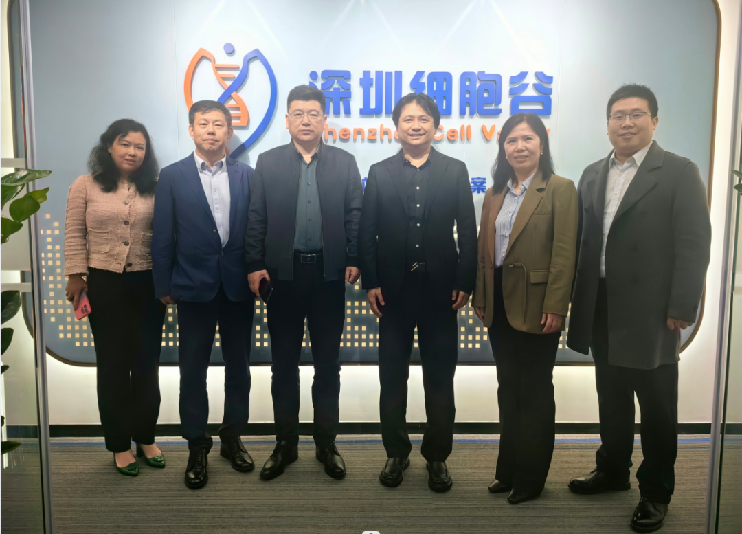 Xing Jianwu, president of the Second Affiliated Hospital of Henan University of Science and Technology, and Wang Huirui, vice president, visited Shenzhen Cell Valley for exchange and visit